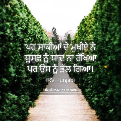Picture 05 - ਪੈਦਾਇਸ਼ 40:23 PANIRV - ਪਰ ਸਾਕੀਆਂ ਦੇ ਮੁਖੀਏ - Bible Verse Picture