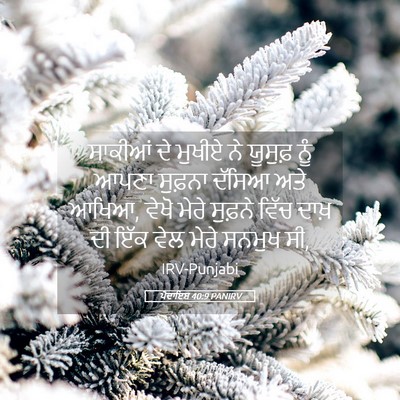 Picture 05 - ਪੈਦਾਇਸ਼ 40:9 PANIRV - ਸਾਕੀਆਂ ਦੇ ਮੁਖੀਏ ਨੇ - Bible Verse Picture