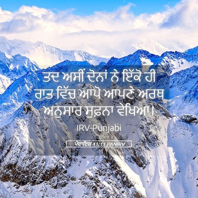 Picture 05 - ਪੈਦਾਇਸ਼ 41:11 PANIRV - ਤਦ ਅਸੀਂ ਦੋਨਾਂ ਨੇ - Bible Verse Picture