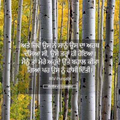 Picture 05 - ਪੈਦਾਇਸ਼ 41:13 PANIRV - ਅਤੇ ਜਿਵੇਂ ਉਸ ਨੇ - Bible Verse Picture