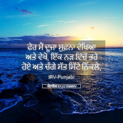 Picture 05 - ਪੈਦਾਇਸ਼ 41:22 PANIRV - ਫੇਰ ਮੈਂ ਦੂਜਾ - Bible Verse Picture