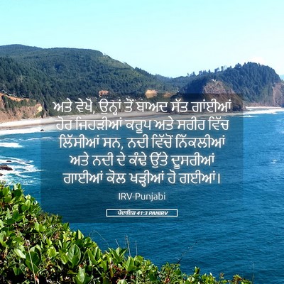 Picture 05 - ਪੈਦਾਇਸ਼ 41:3 PANIRV - ਅਤੇ ਵੇਖੋ, ਉਨ੍ਹਾਂ - Bible Verse Picture