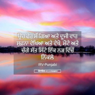 Picture 05 - ਪੈਦਾਇਸ਼ 41:5 PANIRV - ਉਹ ਫੇਰ ਸੌਂ ਗਿਆ ਅਤੇ - Bible Verse Picture