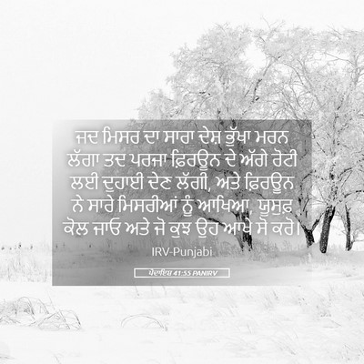 Picture 05 - ਪੈਦਾਇਸ਼ 41:55 PANIRV - ਜਦ ਮਿਸਰ ਦਾ ਸਾਰਾ - Bible Verse Picture