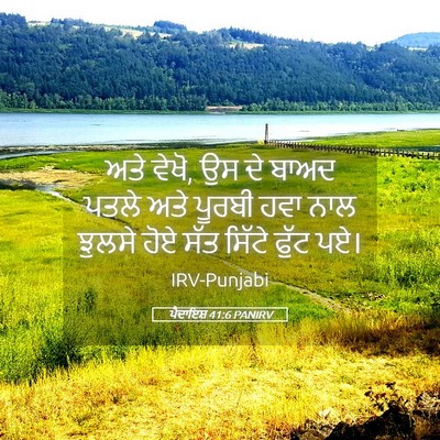 Picture 05 - ਪੈਦਾਇਸ਼ 41:6 PANIRV - ਅਤੇ ਵੇਖੋ, ਉਸ ਦੇ - Bible Verse Picture