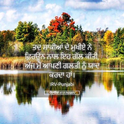 Picture 05 - ਪੈਦਾਇਸ਼ 41:9 PANIRV - ਤਦ ਸਾਕੀਆਂ ਦੇ ਮੁਖੀਏ - Bible Verse Picture