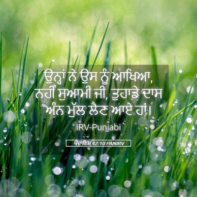 Picture 05 - ਪੈਦਾਇਸ਼ 42:10 PANIRV - ਉਨ੍ਹਾਂ ਨੇ ਉਸ ਨੂੰ - Bible Verse Picture