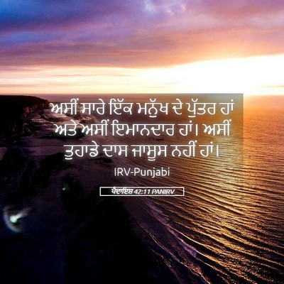 Picture 05 - ਪੈਦਾਇਸ਼ 42:11 PANIRV - ਅਸੀਂ ਸਾਰੇ ਇੱਕ - Bible Verse Picture