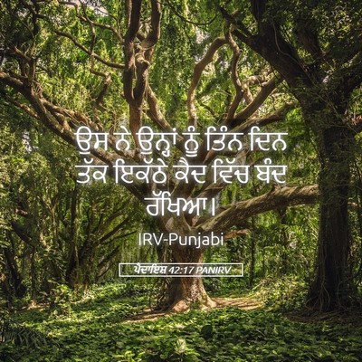 Picture 05 - ਪੈਦਾਇਸ਼ 42:17 PANIRV - ਉਸ ਨੇ ਉਨ੍ਹਾਂ ਨੂੰ - Bible Verse Picture