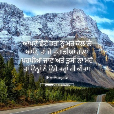Picture 05 - ਪੈਦਾਇਸ਼ 42:20 PANIRV - ਆਪਣੇ ਛੋਟੇ ਭਰਾ ਨੂੰ - Bible Verse Picture