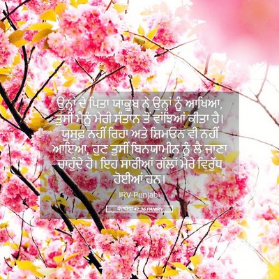 Picture 05 - ਪੈਦਾਇਸ਼ 42:36 PANIRV - ਉਨ੍ਹਾਂ ਦੇ ਪਿਤਾ - Bible Verse Picture