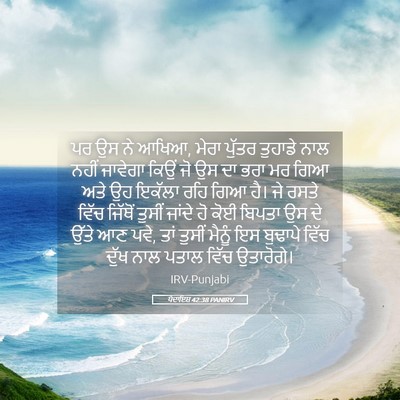 Picture 05 - ਪੈਦਾਇਸ਼ 42:38 PANIRV - ਪਰ ਉਸ ਨੇ ਆਖਿਆ, ਮੇਰਾ - Bible Verse Picture