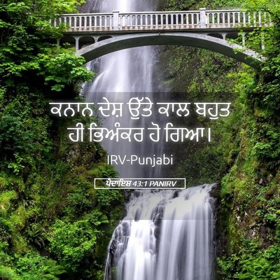 Picture 05 - ਪੈਦਾਇਸ਼ 43:1 PANIRV - ਕਨਾਨ ਦੇਸ਼ ਉੱਤੇ ਕਾਲ - Bible Verse Picture