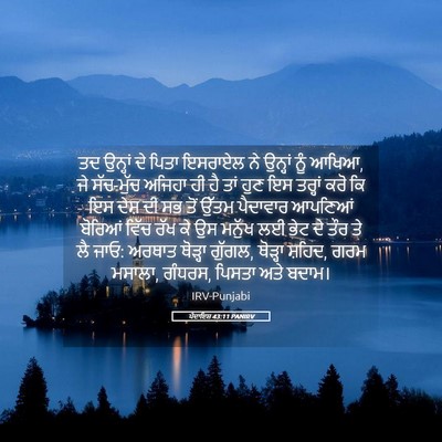 Picture 05 - ਪੈਦਾਇਸ਼ 43:11 PANIRV - ਤਦ ਉਨ੍ਹਾਂ ਦੇ ਪਿਤਾ - Bible Verse Picture