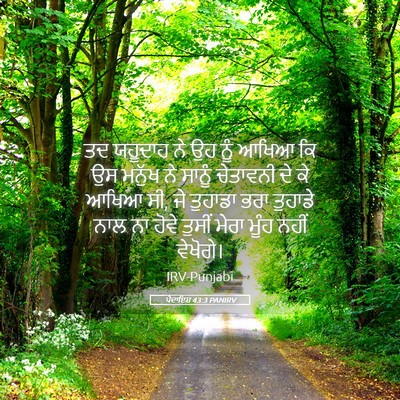 Picture 05 - ਪੈਦਾਇਸ਼ 43:3 PANIRV - ਤਦ ਯਹੂਦਾਹ ਨੇ ਉਹ ਨੂੰ - Bible Verse Picture
