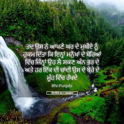 Picture 05 - ਪੈਦਾਇਸ਼ 44:1 PANIRV - ਤਦ ਉਸ ਨੇ ਆਪਣੇ ਘਰ ਦੇ - Bible Verse Picture