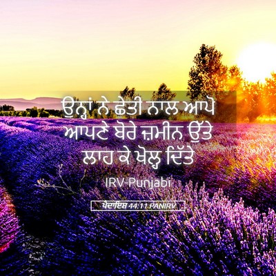 Picture 05 - ਪੈਦਾਇਸ਼ 44:11 PANIRV - ਉਨ੍ਹਾਂ ਨੇ ਛੇਤੀ ਨਾਲ - Bible Verse Picture