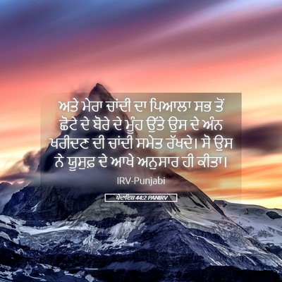 Picture 05 - ਪੈਦਾਇਸ਼ 44:2 PANIRV - ਅਤੇ ਮੇਰਾ ਚਾਂਦੀ ਦਾ - Bible Verse Picture