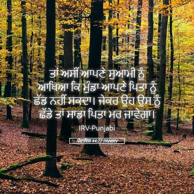 Picture 05 - ਪੈਦਾਇਸ਼ 44:22 PANIRV - ਤਾਂ ਅਸੀਂ ਆਪਣੇ - Bible Verse Picture