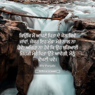 Picture 05 - ਪੈਦਾਇਸ਼ 44:34 PANIRV - ਕਿਉਂਕਿ ਮੈਂ ਆਪਣੇ - Bible Verse Picture