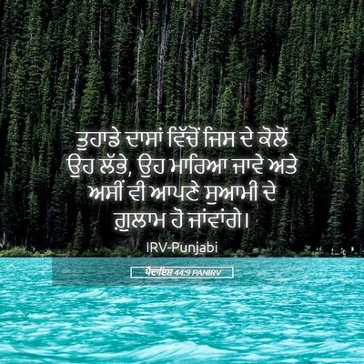 Picture 05 - ਪੈਦਾਇਸ਼ 44:9 PANIRV - ਤੁਹਾਡੇ ਦਾਸਾਂ - Bible Verse Picture