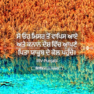 Picture 05 - ਪੈਦਾਇਸ਼ 45:25 PANIRV - ਸੋ ਓਹ ਮਿਸਰ ਤੋਂ - Bible Verse Picture