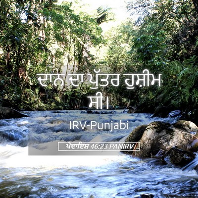 Picture 05 - ਪੈਦਾਇਸ਼ 46:23 PANIRV - ਦਾਨ ਦਾ ਪੁੱਤਰ - Bible Verse Picture