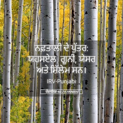 Picture 05 - ਪੈਦਾਇਸ਼ 46:24 PANIRV - ਨਫ਼ਤਾਲੀ ਦੇ ਪੁੱਤਰ: - Bible Verse Picture
