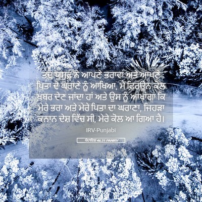 Picture 05 - ਪੈਦਾਇਸ਼ 46:31 PANIRV - ਤਦ ਯੂਸੁਫ਼ ਨੇ ਆਪਣੇ - Bible Verse Picture