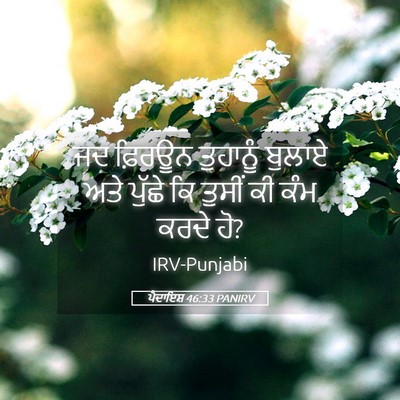 Picture 05 - ਪੈਦਾਇਸ਼ 46:33 PANIRV - ਜਦ ਫ਼ਿਰਊਨ ਤੁਹਾਨੂੰ - Bible Verse Picture