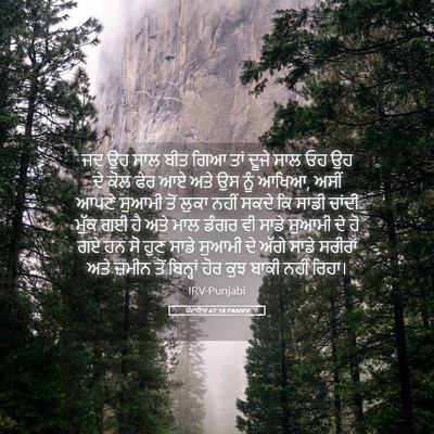 Picture 05 - ਪੈਦਾਇਸ਼ 47:18 PANIRV - ਜਦ ਉਹ ਸਾਲ ਬੀਤ ਗਿਆ - Bible Verse Picture