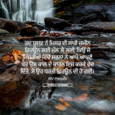 Picture 05 - ਪੈਦਾਇਸ਼ 47:20 PANIRV - ਤਦ ਯੂਸੁਫ਼ ਨੇ ਮਿਸਰ - Bible Verse Picture