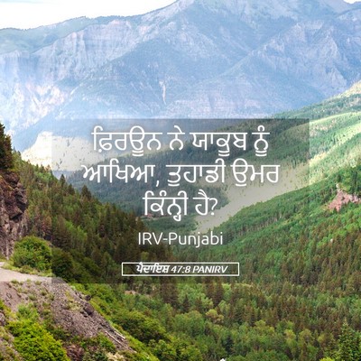 Picture 05 - ਪੈਦਾਇਸ਼ 47:8 PANIRV - ਫ਼ਿਰਊਨ ਨੇ ਯਾਕੂਬ - Bible Verse Picture