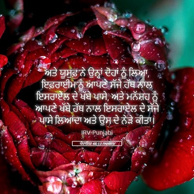 Picture 05 - ਪੈਦਾਇਸ਼ 48:13 PANIRV - ਅਤੇ ਯੂਸੁਫ਼ ਨੇ - Bible Verse Picture