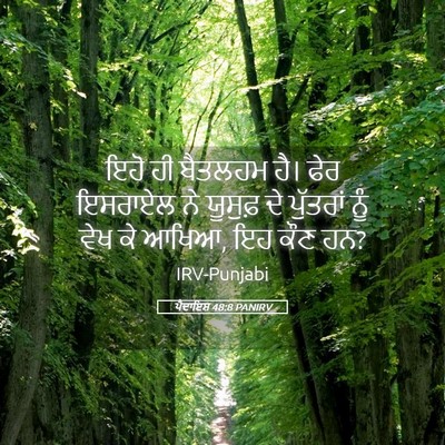 Picture 05 - ਪੈਦਾਇਸ਼ 48:8 PANIRV - ਇਹੋ ਹੀ ਬੈਤਲਹਮ ਹੈ। - Bible Verse Picture