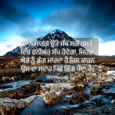 Picture 05 - ਪੈਦਾਇਸ਼ 49:17 PANIRV - ਦਾਨ ਮਾਰਗ ਉੱਤੇ ਸੱਪ - Bible Verse Picture