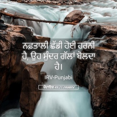 Picture 05 - ਪੈਦਾਇਸ਼ 49:21 PANIRV - ਨਫ਼ਤਾਲੀ ਛੱਡੀ ਹੋਈ - Bible Verse Picture