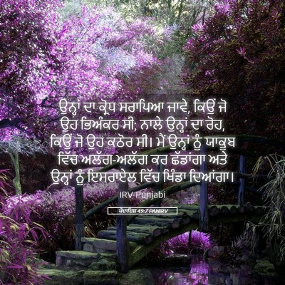 Picture 05 - ਪੈਦਾਇਸ਼ 49:7 PANIRV - ਉਨ੍ਹਾਂ ਦਾ ਕ੍ਰੋਧ - Bible Verse Picture