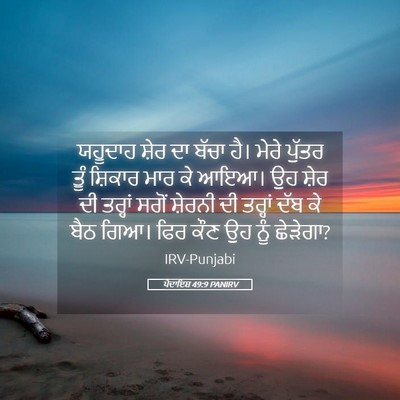 Picture 05 - ਪੈਦਾਇਸ਼ 49:9 PANIRV - ਯਹੂਦਾਹ ਸ਼ੇਰ ਦਾ - Bible Verse Picture