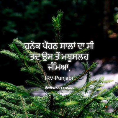Picture 05 - ਪੈਦਾਇਸ਼ 5:21 PANIRV - ਹਨੋਕ ਪੈਂਹਠ ਸਾਲਾਂ - Bible Verse Picture