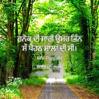 Picture 05 - ਪੈਦਾਇਸ਼ 5:23 PANIRV - ਹਨੋਕ ਦੀ ਸਾਰੀ ਉਮਰ - Bible Verse Picture