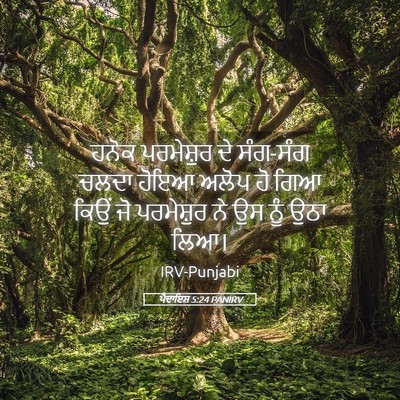 Picture 05 - ਪੈਦਾਇਸ਼ 5:24 PANIRV - ਹਨੋਕ ਪਰਮੇਸ਼ੁਰ ਦੇ - Bible Verse Picture