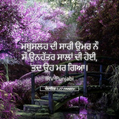 Picture 05 - ਪੈਦਾਇਸ਼ 5:27 PANIRV - ਮਥੂਸਲਹ ਦੀ ਸਾਰੀ ਉਮਰ - Bible Verse Picture