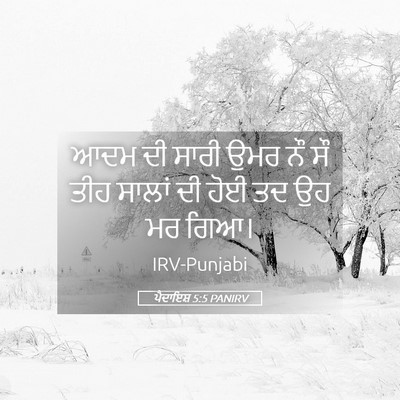 Picture 05 - ਪੈਦਾਇਸ਼ 5:5 PANIRV - ਆਦਮ ਦੀ ਸਾਰੀ ਉਮਰ ਨੌ - Bible Verse Picture