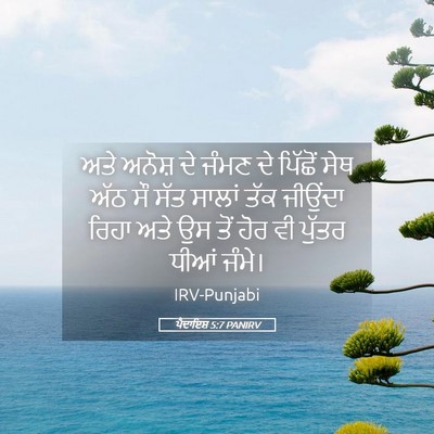Picture 05 - ਪੈਦਾਇਸ਼ 5:7 PANIRV - ਅਤੇ ਅਨੋਸ਼ ਦੇ ਜੰਮਣ - Bible Verse Picture