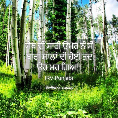 Picture 05 - ਪੈਦਾਇਸ਼ 5:8 PANIRV - ਸੇਥ ਦੀ ਸਾਰੀ ਉਮਰ ਨੌ - Bible Verse Picture