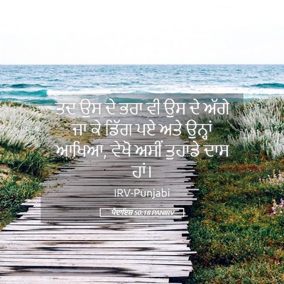 Picture 05 - ਪੈਦਾਇਸ਼ 50:18 PANIRV - ਤਦ ਉਸ ਦੇ ਭਰਾ ਵੀ ਉਸ - Bible Verse Picture