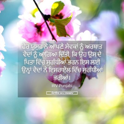 Picture 05 - ਪੈਦਾਇਸ਼ 50:2 PANIRV - ਫੇਰ ਯੂਸੁਫ਼ ਨੇ ਆਪਣੇ - Bible Verse Picture