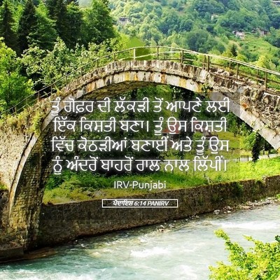 Picture 05 - ਪੈਦਾਇਸ਼ 6:14 PANIRV - ਤੂੰ ਗੋਫ਼ਰ ਦੀ ਲੱਕੜੀ - Bible Verse Picture
