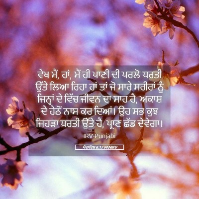 Picture 05 - ਪੈਦਾਇਸ਼ 6:17 PANIRV - ਵੇਖ ਮੈਂ, ਹਾਂ, ਮੈਂ ਹੀ - Bible Verse Picture